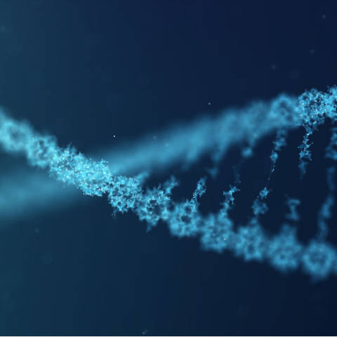 DNA and Molecular Analysis